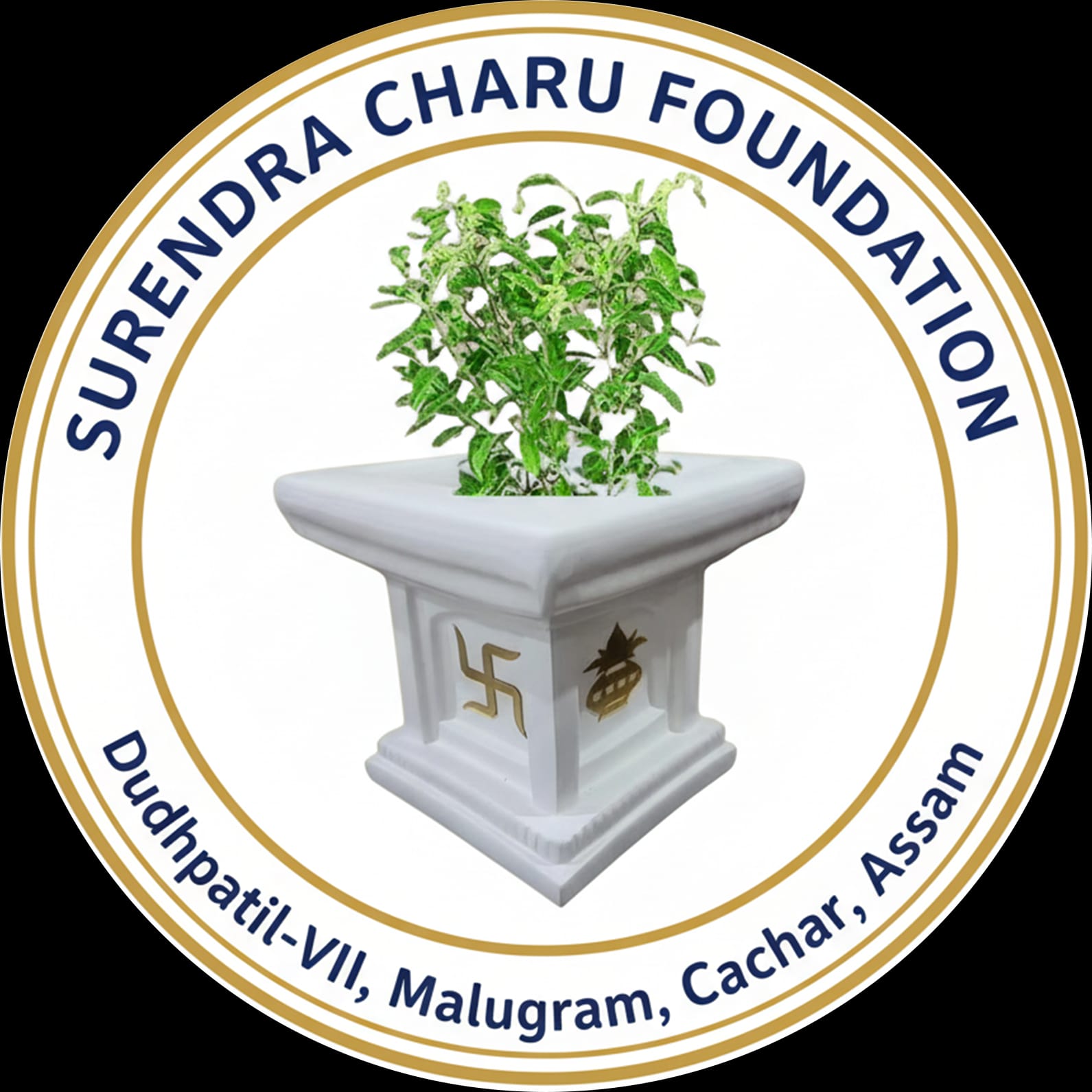 NGO Program Slider Image